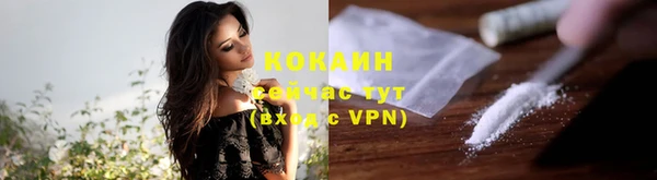 кокс Бородино