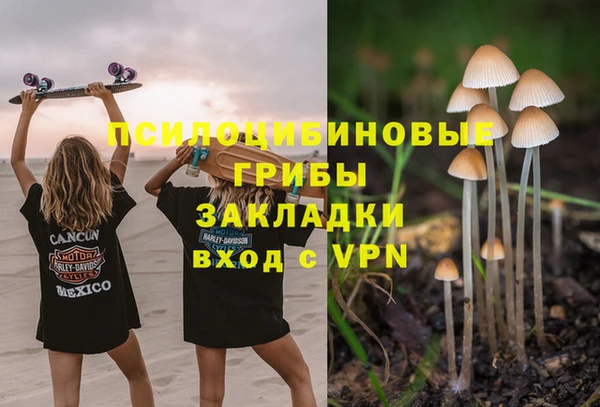 ПСИЛОЦИБИНОВЫЕ ГРИБЫ Бугульма