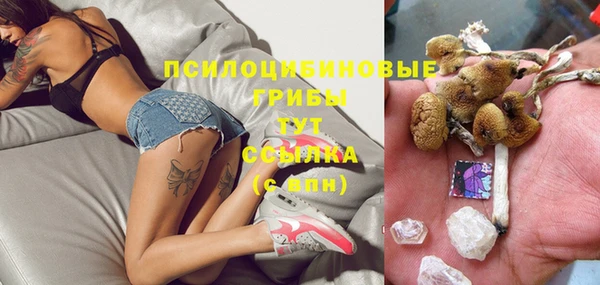 ECSTASY Богданович
