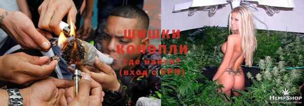 ECSTASY Богданович