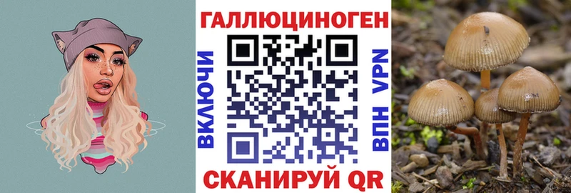 Галлюциногенные грибы прущие грибы  Нестеров 